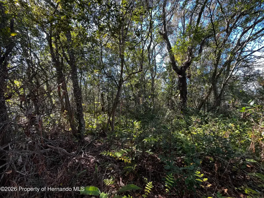 0 Marietta Avenue, Spring Hill, FL 34608 - #3