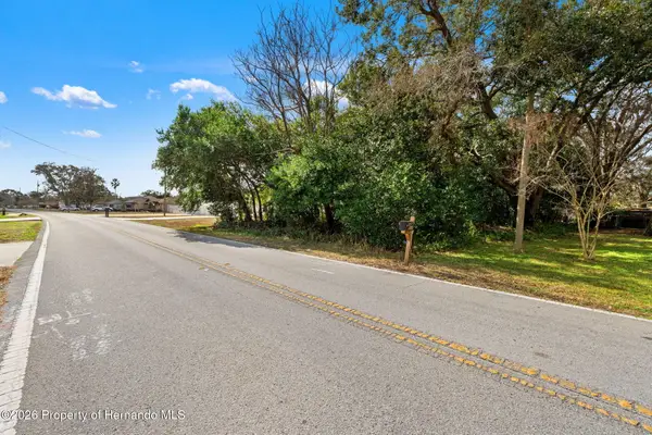 9028 Horizon Drive, Spring Hill, FL 34608
