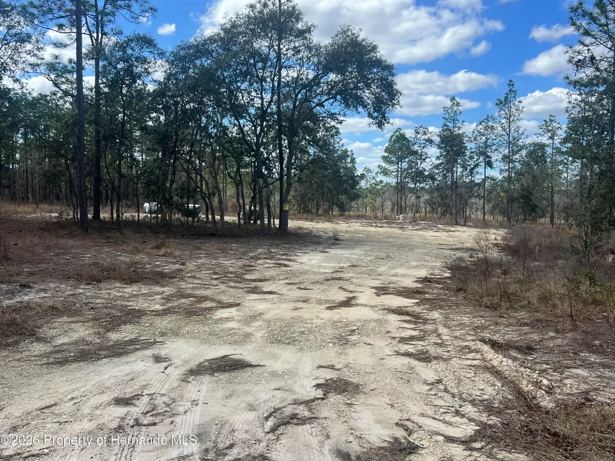 0000 SE 135 Court, Dunnellon, FL 34431 - #1