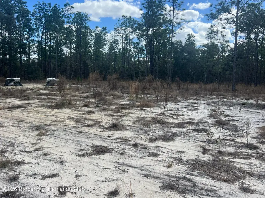 0000 SE 135 Court, Dunnellon, FL 34431 - #3