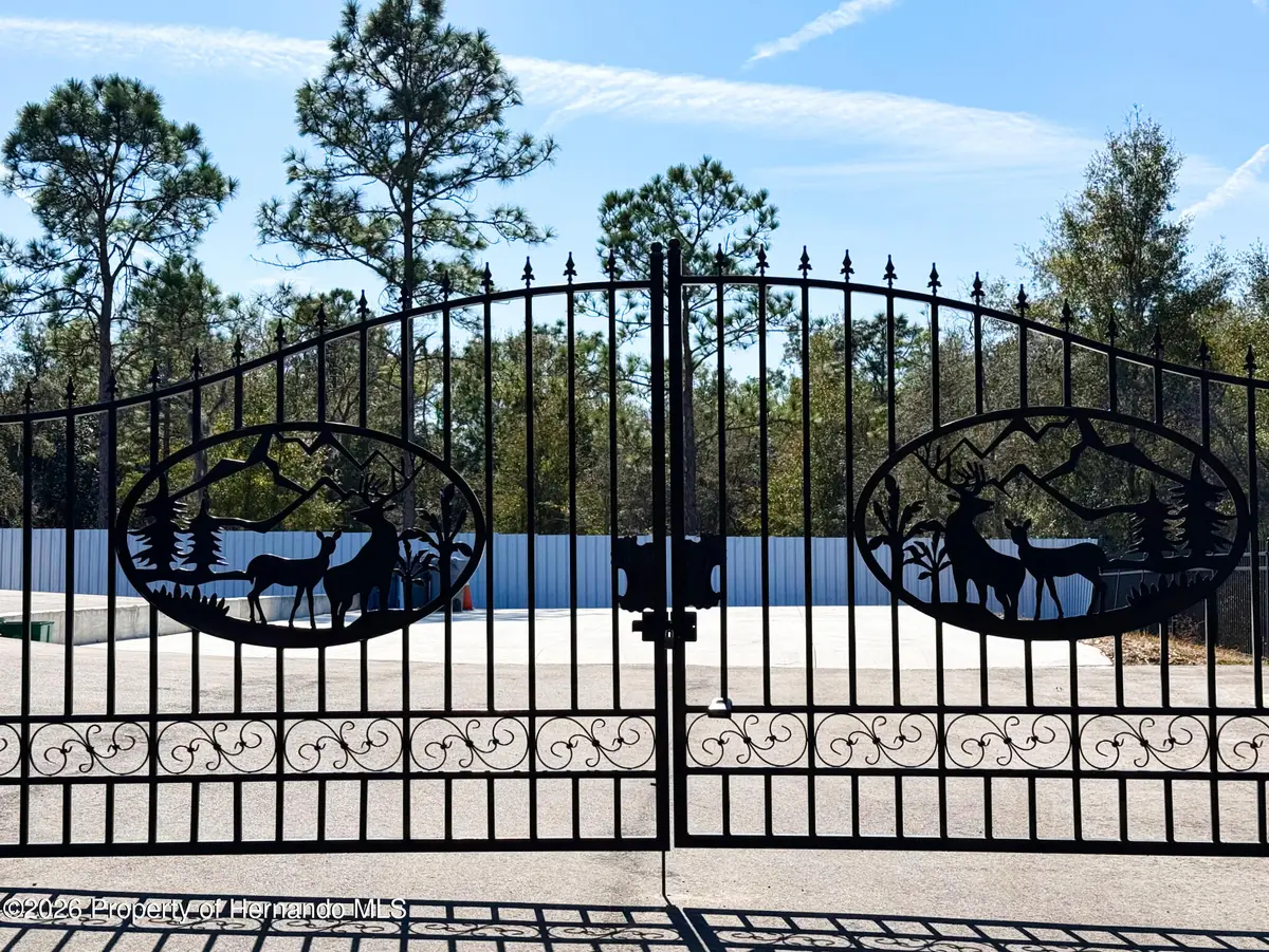 34370 Richardson Boulevard, Webster, FL 33597 - #1