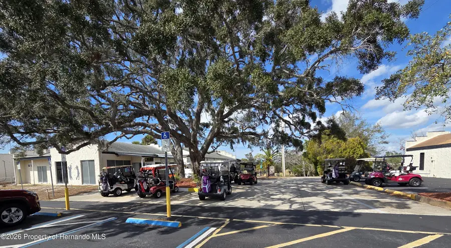 12130 Thornridge Street, Brooksville, FL 34613 - #3