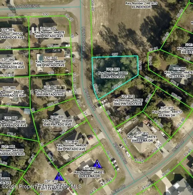 3060 Pintado Avenue, Spring Hill, FL 34609 - #1