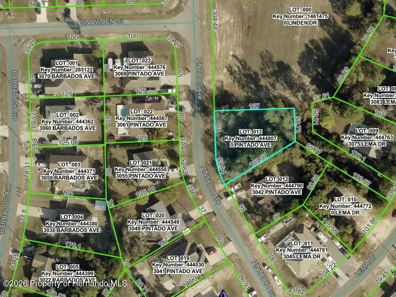 3060 Pintado Avenue, Spring Hill, FL 34609 - #2