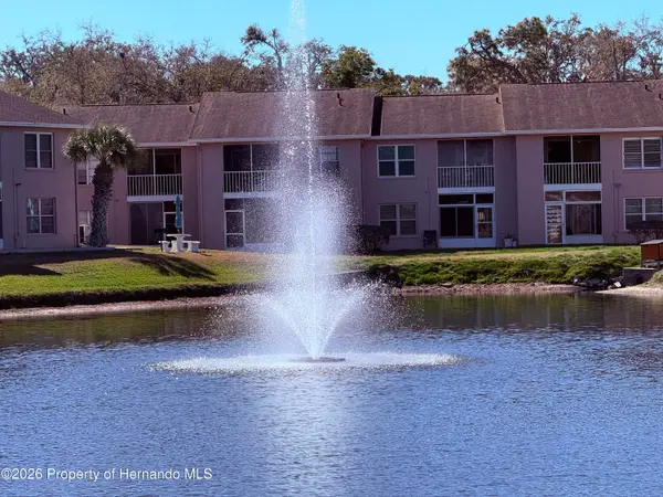 6519 Spring Flower Drive, New Port Richey, FL 34653