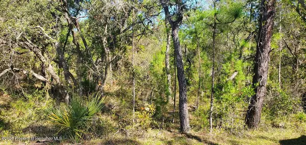 Lot 56 Michigan Avenue, Weeki Wachee, FL 34613