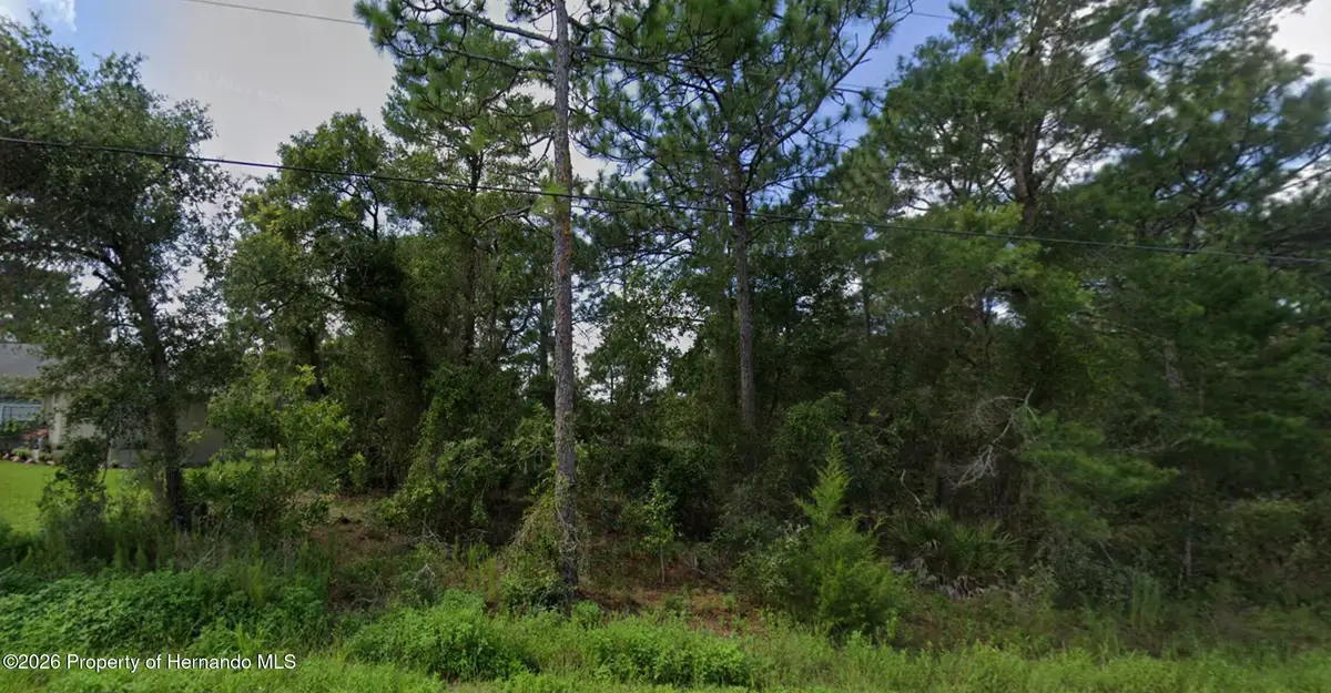 11272 Gallinule Avenue, Weeki Wachee, FL 34613 - #1