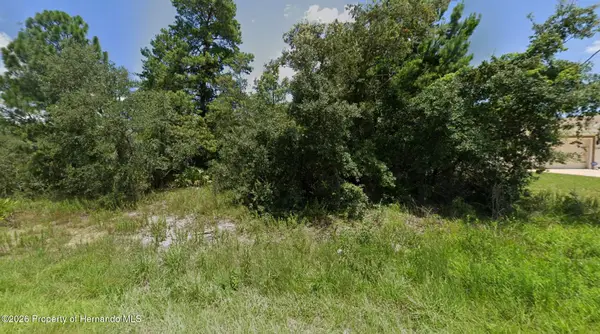 10391 Fulton Avenue, Weeki Wachee, FL 34613