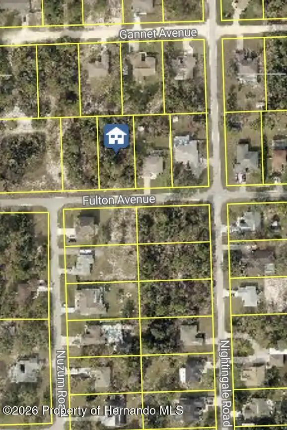 10391 Fulton Avenue, Weeki Wachee, FL 34613 - #3