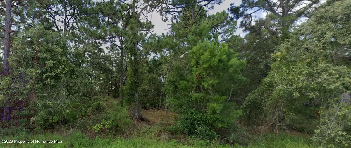 11260 Gallinule Avenue, Weeki Wachee, FL 34613 - #1