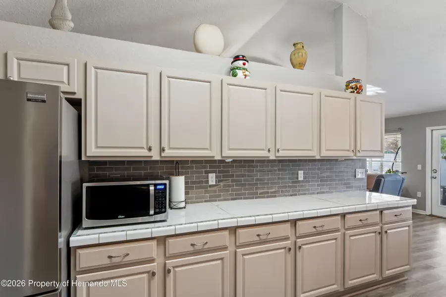 10318 Gifford Drive, Spring Hill, FL 34606 - #3