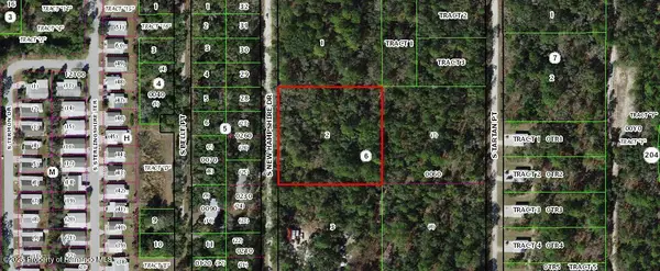 10613 S New Hampshire Drive, Homosassa, FL 34446