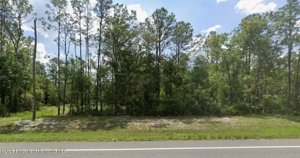 7430 Treiman Boulevard, Webster, FL 33597