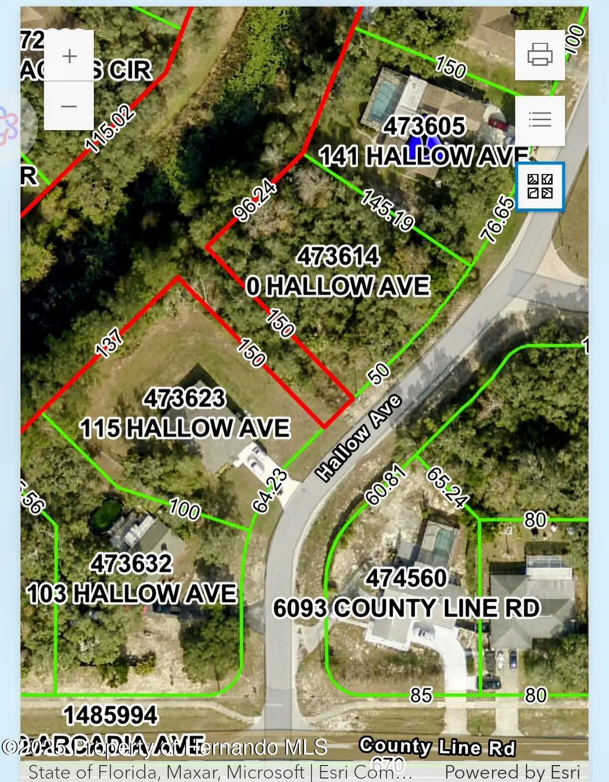 0 Hallow Avenue, Spring Hill, FL 34606 - #1