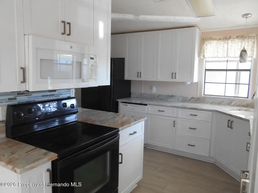 8223 Fortune Hunter Drive, Brooksville, FL 34613 - #2