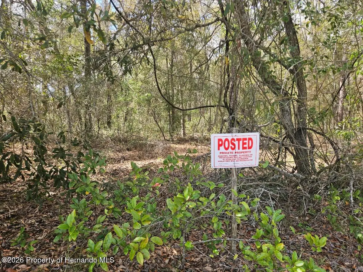 8161 Cresap Street, Brooksville, FL 34613 - #1