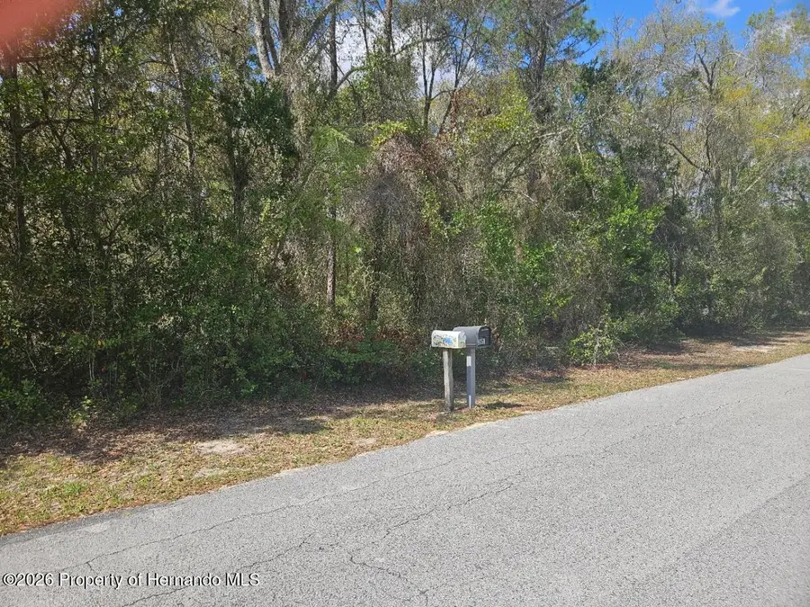 8161 Cresap Street, Brooksville, FL 34613 - #3