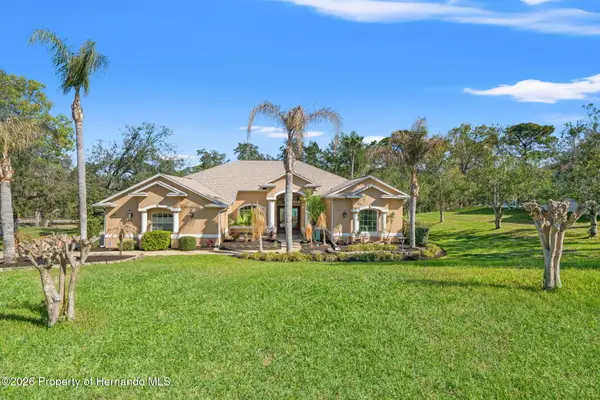 10288 Ridge Top Loop, Weeki Wachee, FL 34613