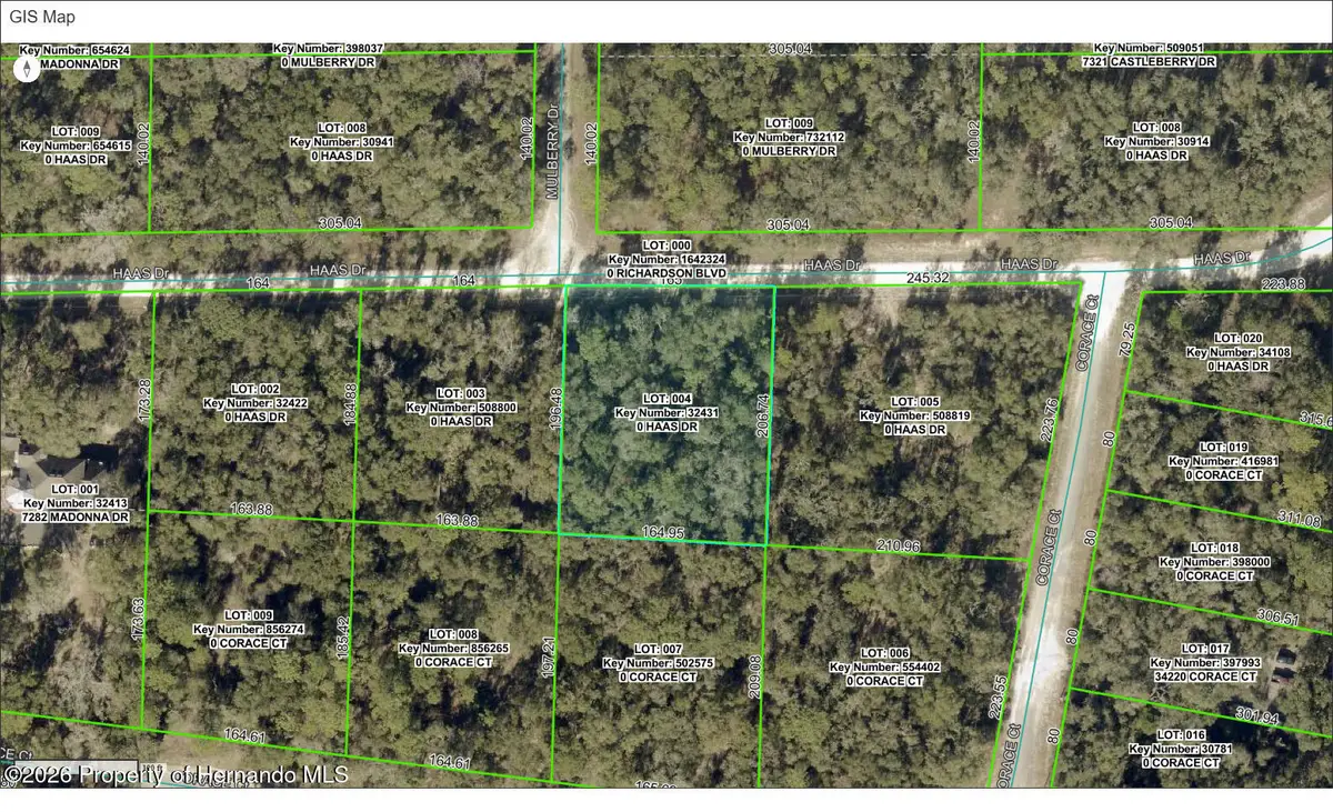 0 Haas Drive, Webster, FL 33597 - #1