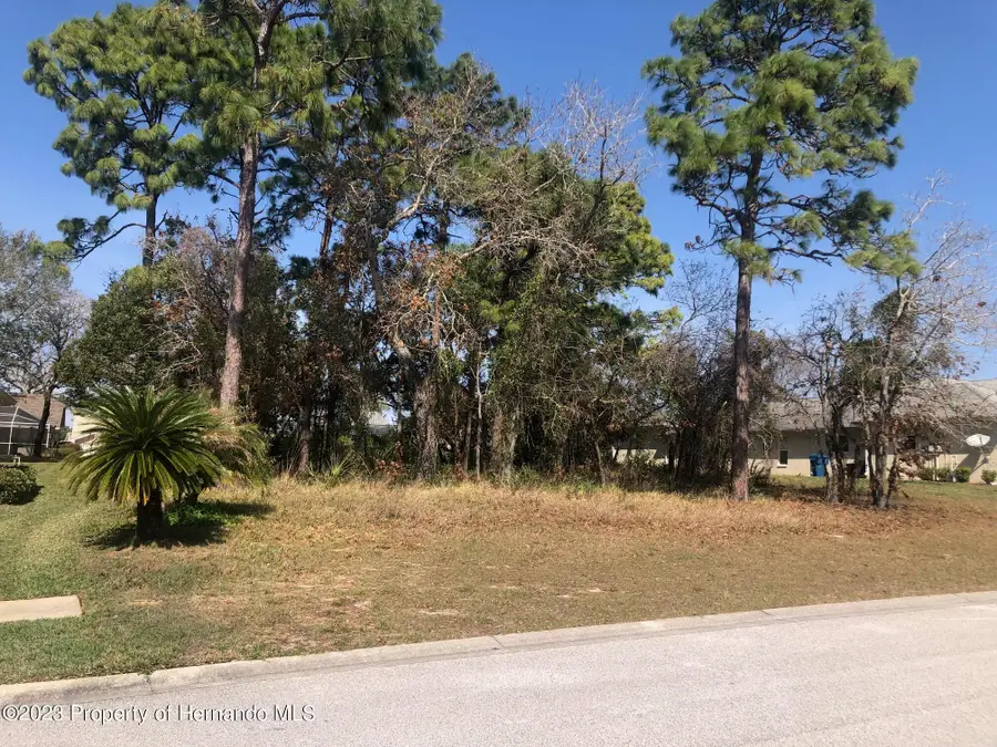 13363 Newcastle Avenue, Spring Hill, FL 34609 - #3