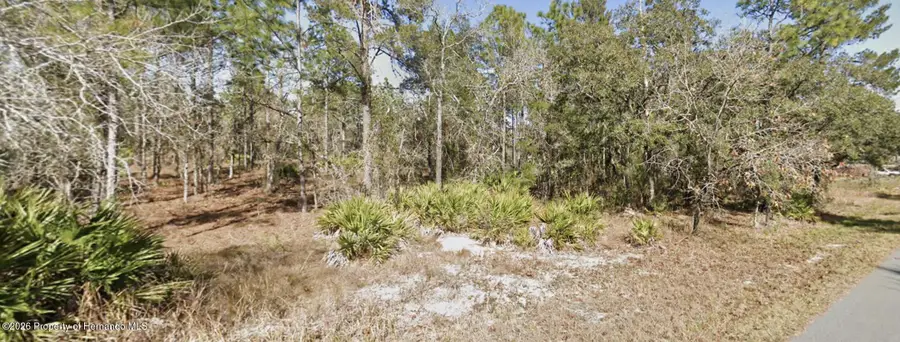 11323 Furley Avenue, Spring Hill, FL 34613 - #3