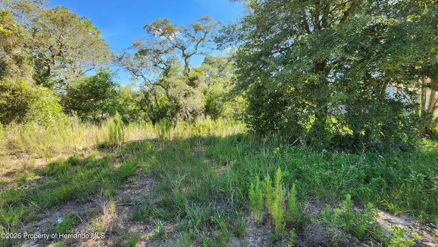 0 Centennial Street, Spring Hill, FL 34609 - #3