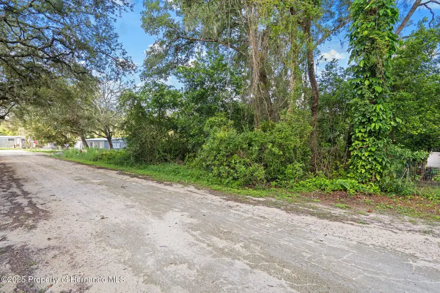 3241 Taffeta Street, Ridge Manor, FL 33523 - #3