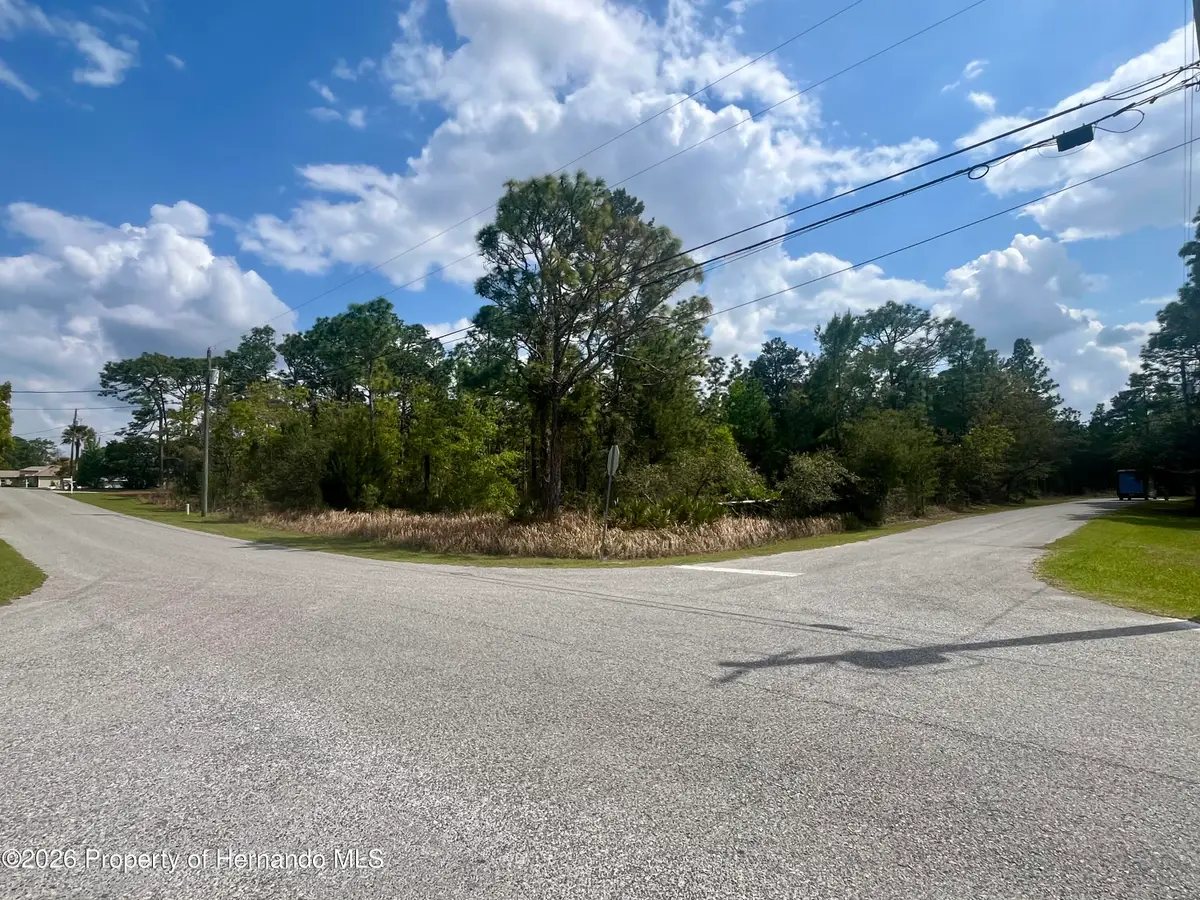0 Mazette Road, Weeki Wachee, FL 34613 - #1