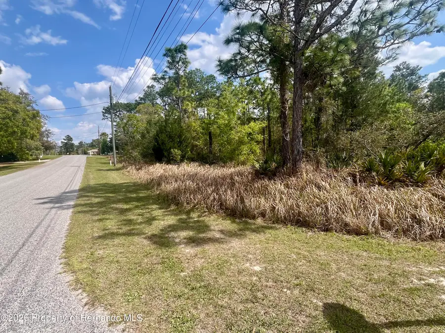 0 Mazette Road, Weeki Wachee, FL 34613 - #2