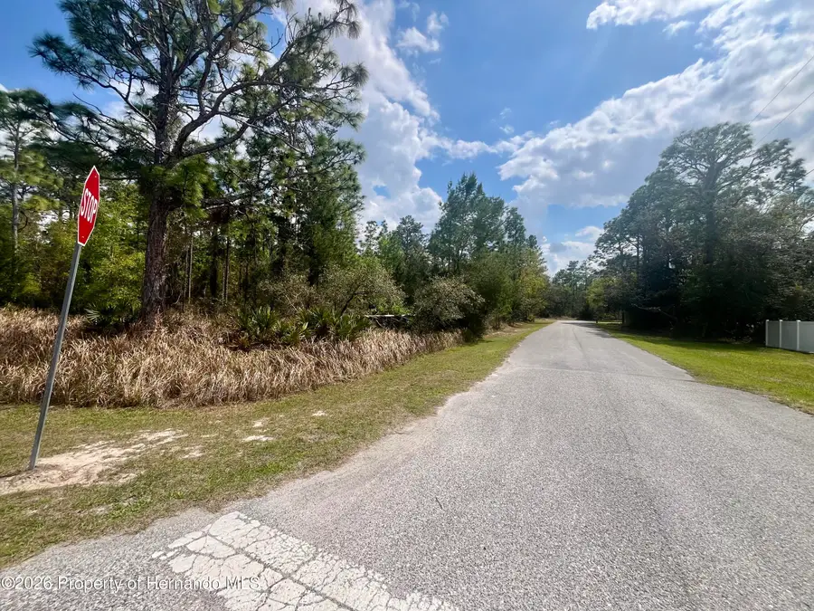 0 Mazette Road, Weeki Wachee, FL 34613 - #3