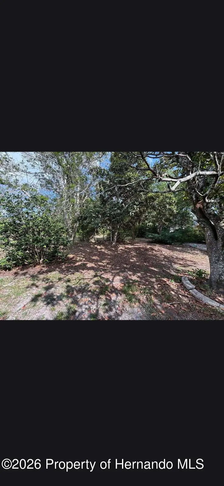 0 Cavern Road, Spring Hill, FL 34609 - #3