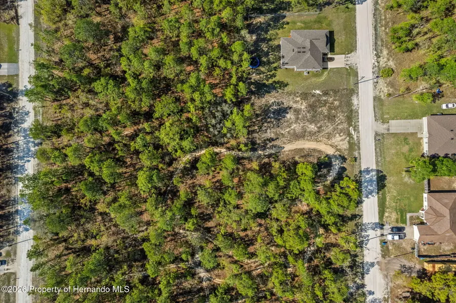 12348 Snowy Egret Avenue, Spring Hill, FL 34606 - #3