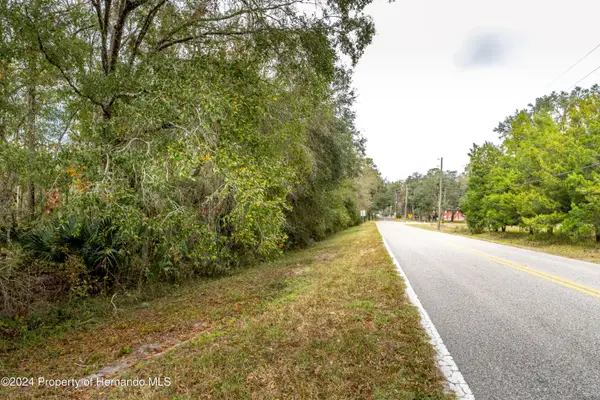 0 Lake Lindsay Tract 2 Road, Brooksville, FL 34601