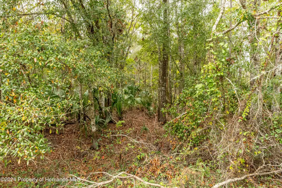 0 Lake Lindsay Tract 2 Road, Brooksville, FL 34601 - #3