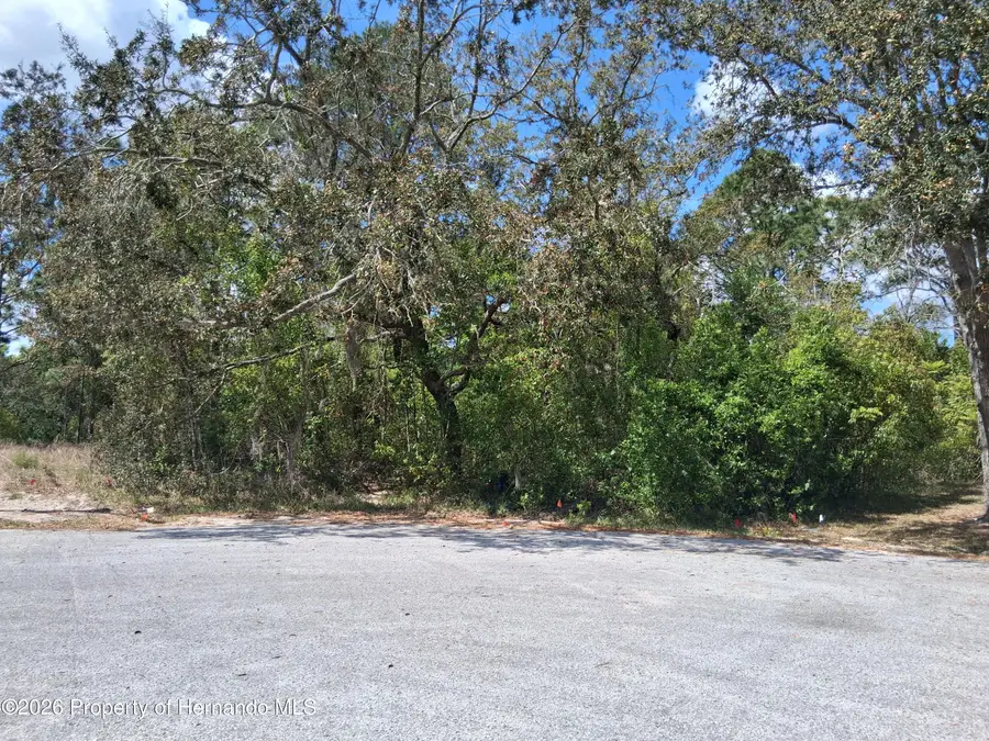 9159 Liberator Court, Spring Hill, FL 34608 - #3