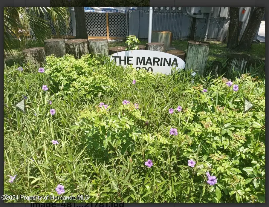 200 Meres Boulevard, Tarpon Springs, FL 34689 - #3