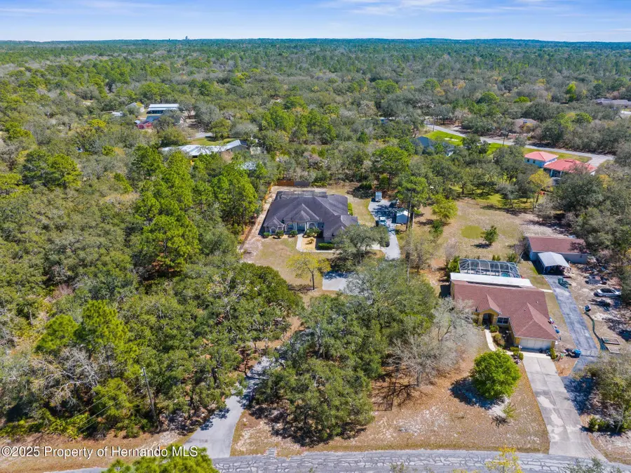 14258 Mulkerin Drive, Weeki Wachee, FL 34614 - #2