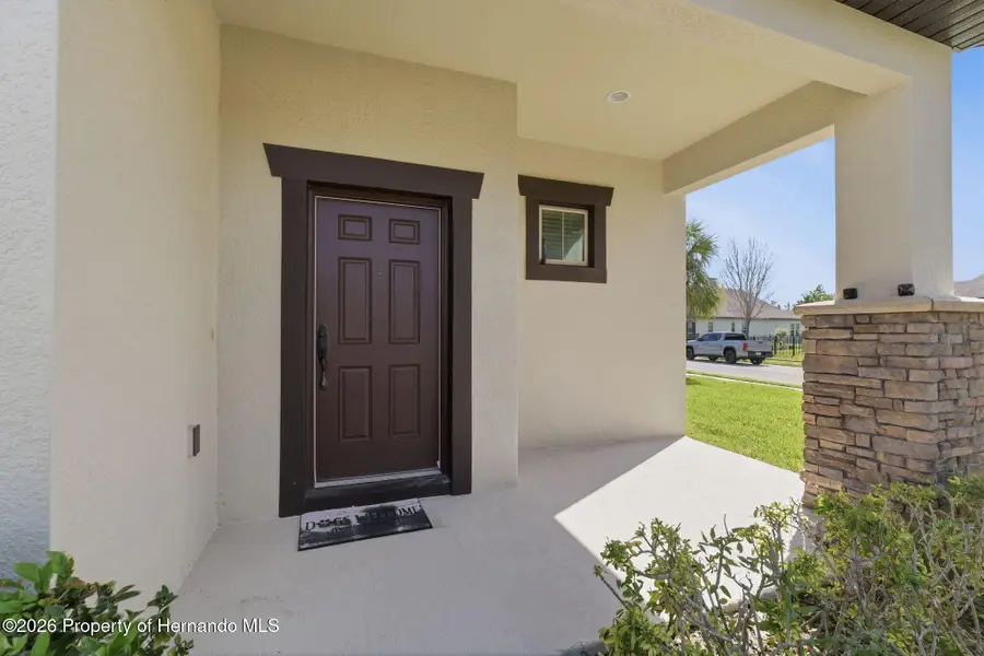4924 Butler National Drive, Wesley Chapel, FL 33543 - #2