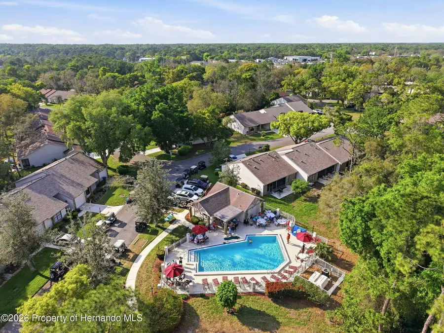 6575 Brambleleaf Drive, Spring Hill, FL 34606 - #2