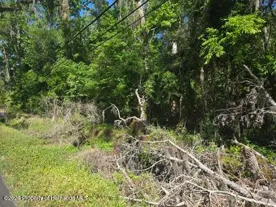 0 Fort Dade Avenue, Brooksville, FL 34601 - #1