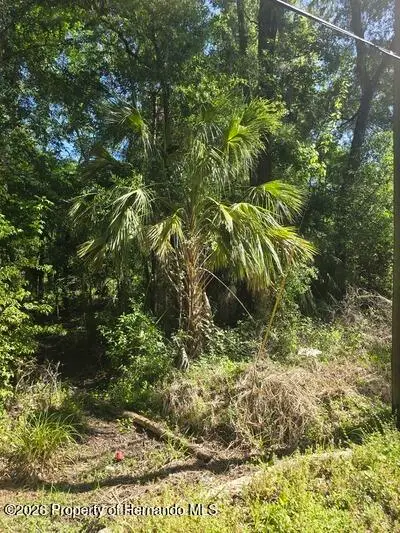 0 Fort Dade Avenue, Brooksville, FL 34601 - #2
