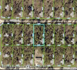 LOT 4 Schick Avenue, Weeki Wachee, FL 34614 - #1