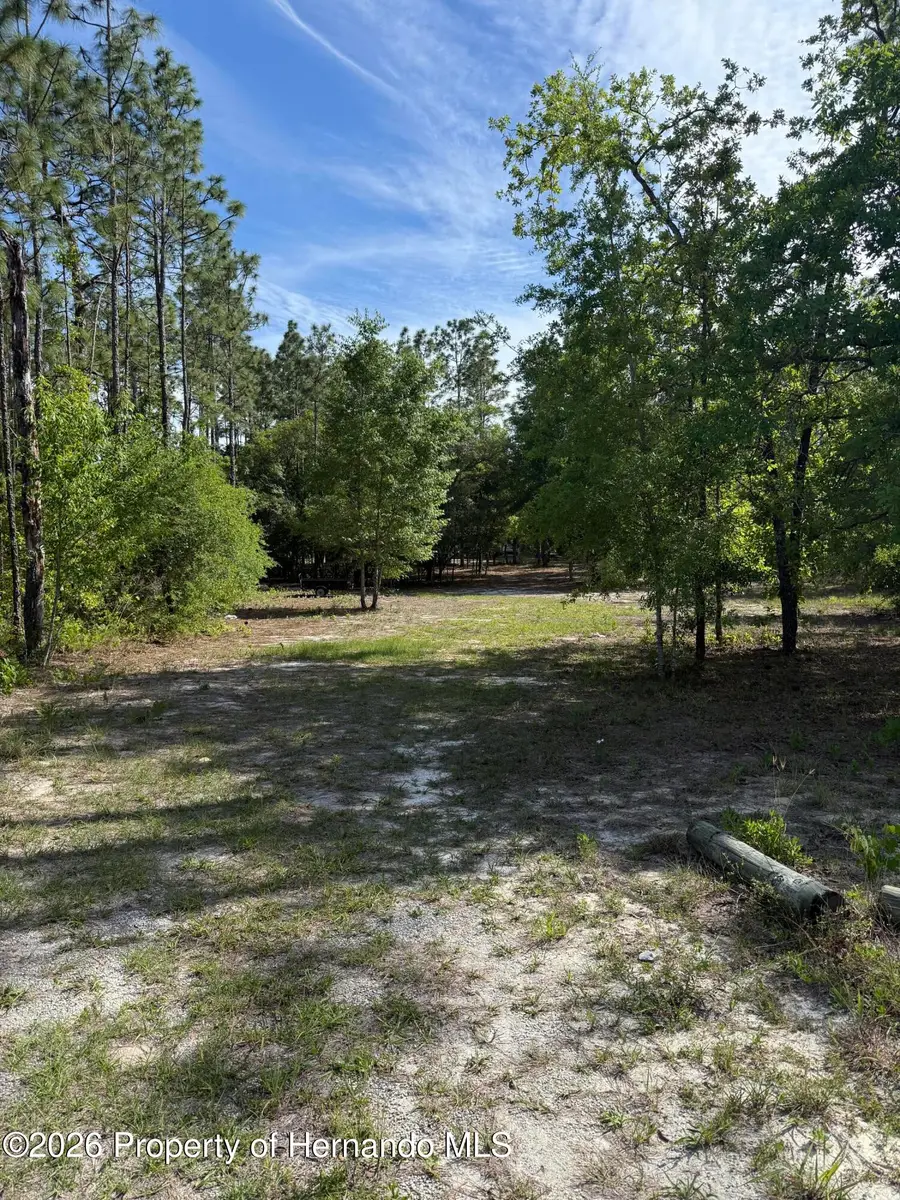 LOT 4 Schick Avenue, Weeki Wachee, FL 34614 - #3