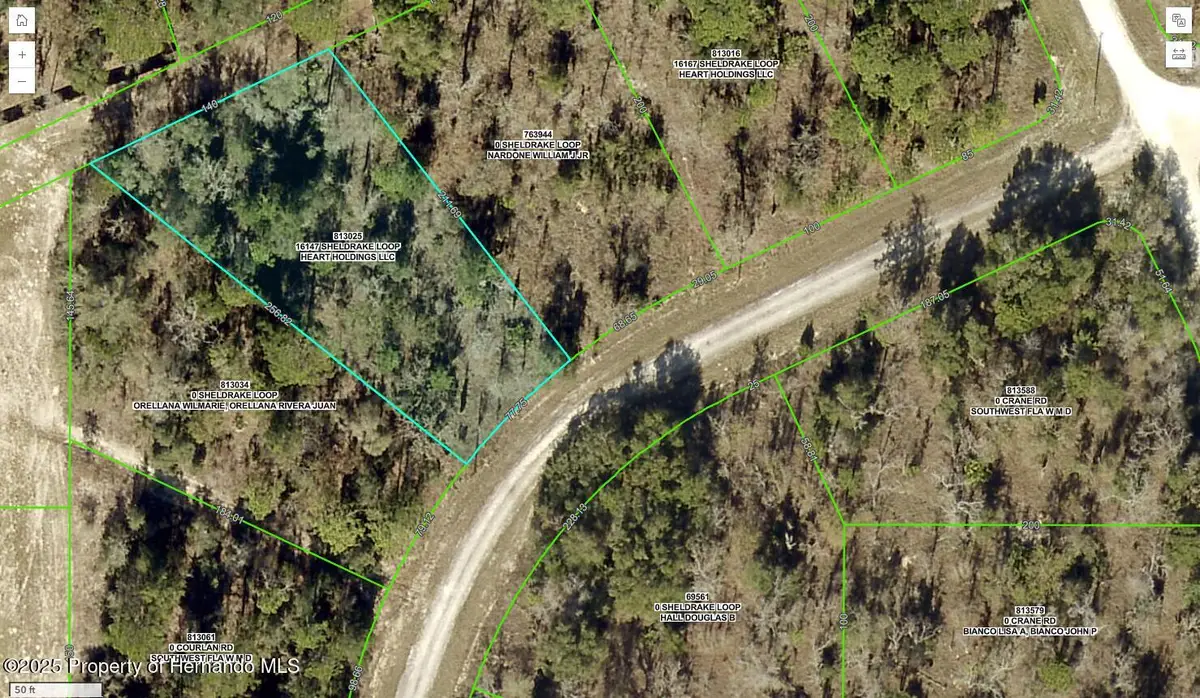 16147 Sheldrake Loop, Weeki Wachee, FL 34614 - #1