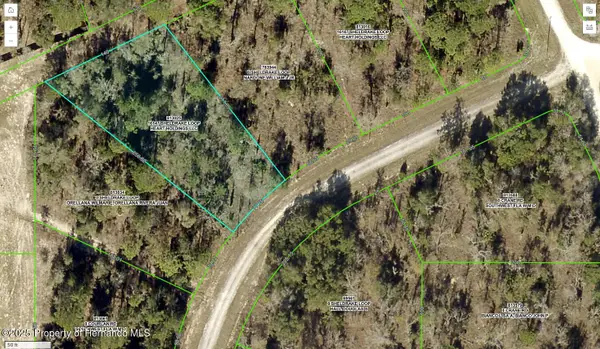 16147 Sheldrake Loop, Weeki Wachee, FL 34614