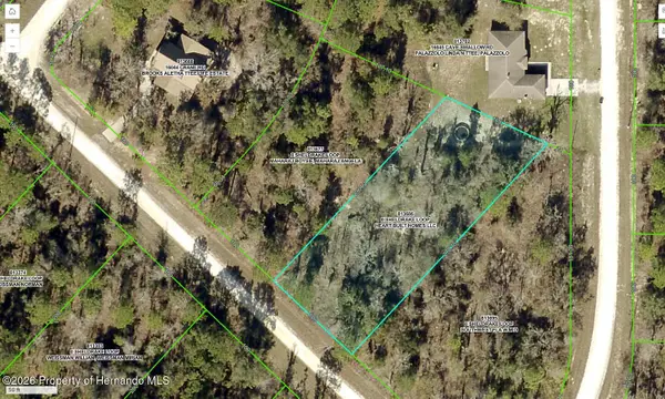 0 Sheldrake Loop, Weeki Wachee, FL 34614