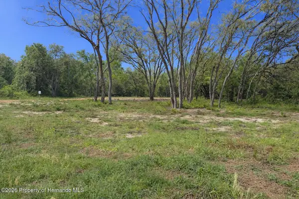 0 Wheystone Drive, Webster, FL 33597