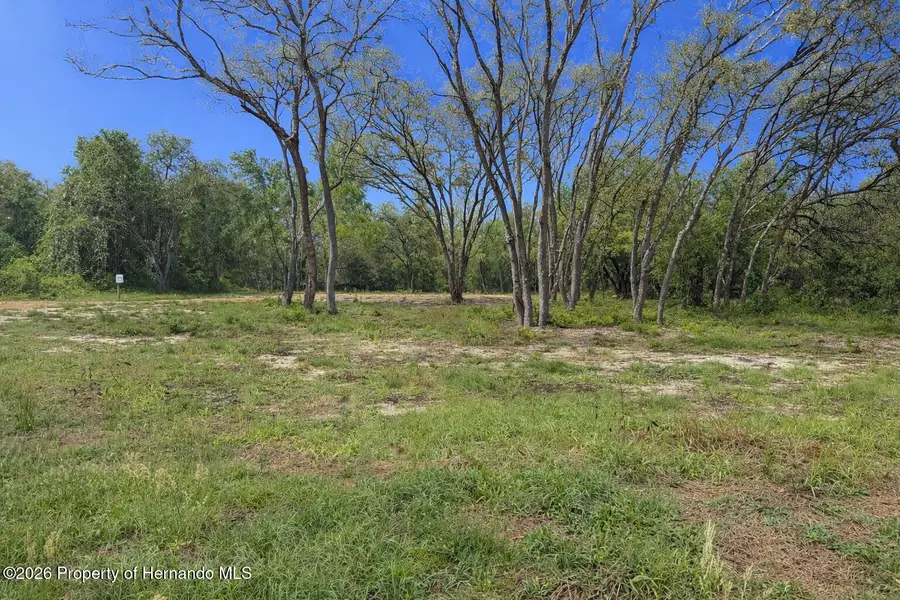 0 Wheystone Drive, Webster, FL 33597 - #3