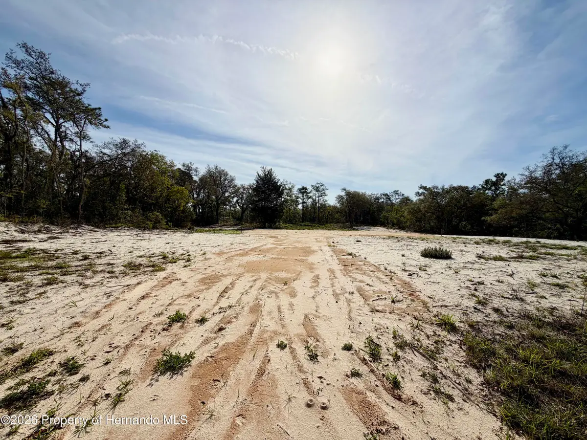 0 Wagers Drive, Webster, FL 33597 - #1