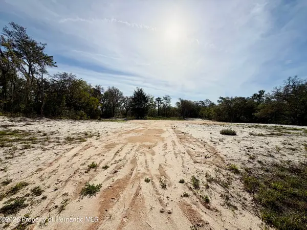 0 Wagers Drive, Webster, FL 33597